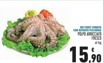 Conad Polpo arricciato fresco offerta