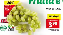 Lidl Uva bianca XXL offerta