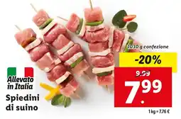 Lidl Spiedini di suino offerta