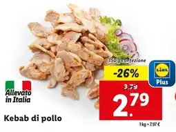 Lidl Kebab di pollo offerta