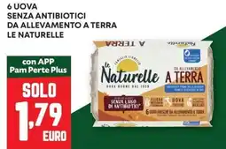 Pam 6 uova senza antibiotici da allevamento a terra LE NATURELLE offerta