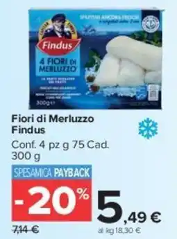 Carrefour Market Fiori di Merluzzo Findus offerta