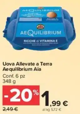 Carrefour Market Uova Allevate a Terra Aequilibrium Aia offerta