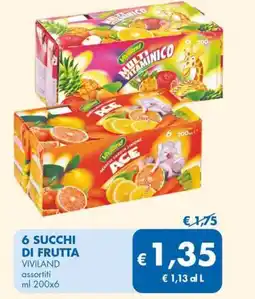 MD Discount 6 succhi di frutta VIVILAND offerta