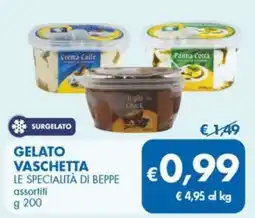 MD Discount Gelato vaschetta LE SPECIALITÀ DI BEPPE offerta