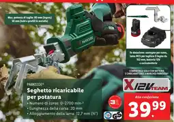 Lidl Seghetto ricaricabile per potatura PARKSIDE offerta