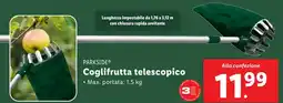 Lidl Coglifrutta telescopico PARKSIDE offerta
