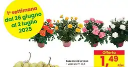 Eurospar Rose miste in vaso offerta