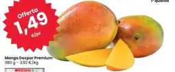 Eurospar Mango Despar Premium offerta