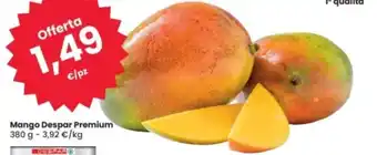 Eurospar Mango Despar Premium offerta