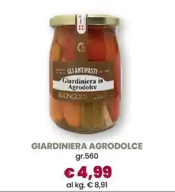 Galassia Giardiniera agrodolce offerta