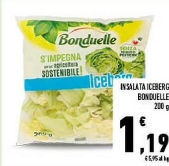 Conad City Insalata iceberg offerta