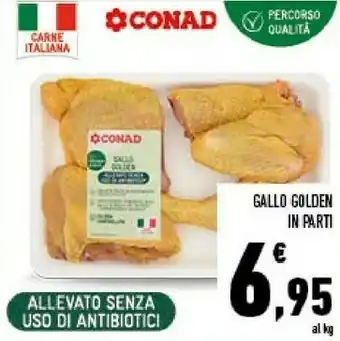 Gallo golden in parti