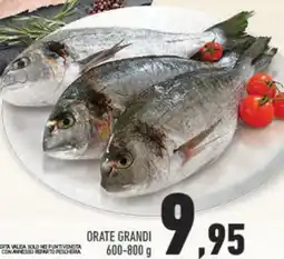 Conad Orate grandi offerta
