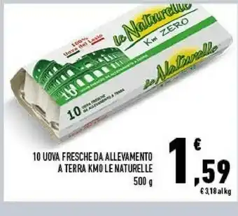 Conad 10 uova fresche da allevamento a terra offerta