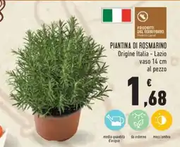 Conad PIANTINA DI ROSMARINO offerta