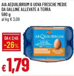 Galassia Aia aequilibrium 6 uova fresche medie da galline allevate a terra offerta