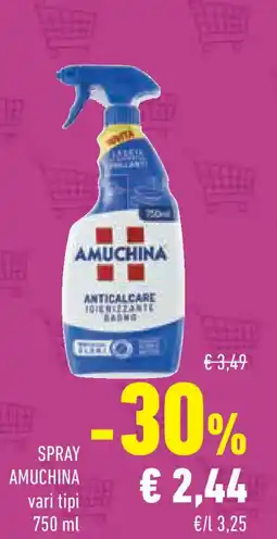 Conad Superstore Spray AMUCHINA offerta