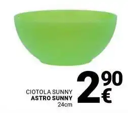 Supermercati Gulliver Ciotola sunny astro sunny offerta