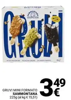 Supermercati Gulliver Gruvi mini formato SAMMONTANA offerta