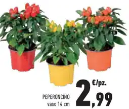 Conad Superstore Peperoncino offerta