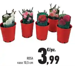 Conad Superstore Rosa offerta
