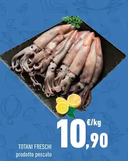 Conad Superstore Totani freschi offerta