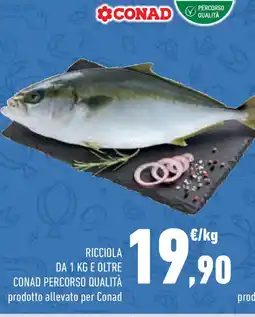 Conad Superstore Ricciola conad percorso qualità offerta