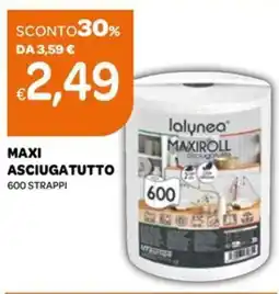 Ekom Maxi asciugatutto offerta