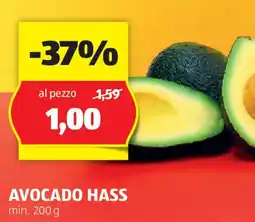 ALDI Avocado hass offerta