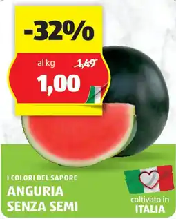 ALDI I colori del sapore anguria senza semi offerta