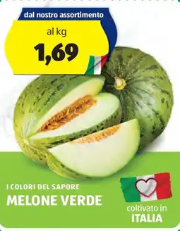 ALDI I colori del sapore melone verde offerta