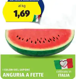 ALDI I colori del sapore anguria a fette offerta