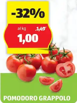 ALDI Pomodoro grappolo offerta