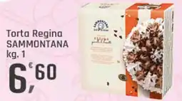 Supermercati Dok Torta Regina SAMMONTANA offerta