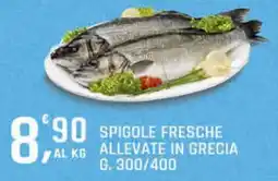 Supermercati Dok Spieole fresche allevate in grecia offerta