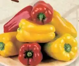 Conad Peperoni gialli, rossi offerta