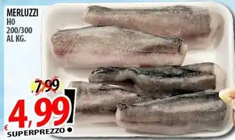 Il Genio Supermercato Merluzzi ho 200/300 offerta