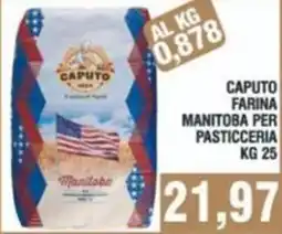 Bitar Caputo farina manitoba per pasticceria offerta