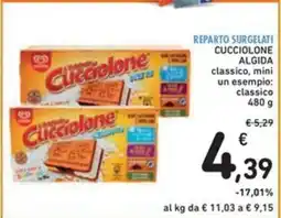 Spazio Conad CUCCIOLONE ALGIDA classico mini un esempio classico offerta