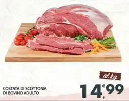 Eurospar Costata di scottona di bovino adulto offerta