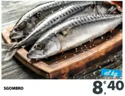Eurospar Sgombro offerta