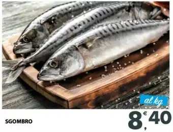 Eurospar Sgombro offerta