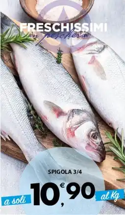 Eurospar Spigola 3/4 offerta