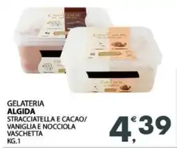 Eurospar Gelateria algida stracciatella e cacao/ vaniglia e nocciola vaschetta offerta
