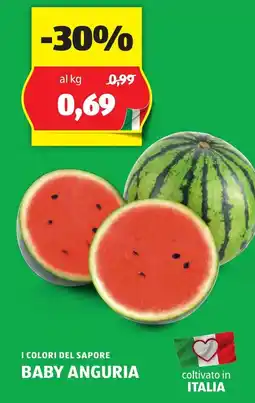 ALDI I colori del sapore baby anguria offerta