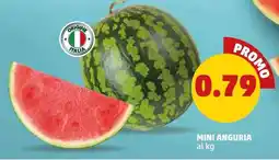 PENNY Mini anguria offerta