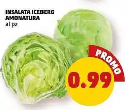 PENNY Insalata iceberg amonatura offerta
