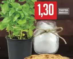 Supermercati Piccolo Piantina basilico offerta