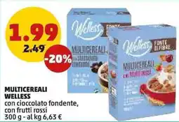 PENNY Multicereali WELLESS offerta